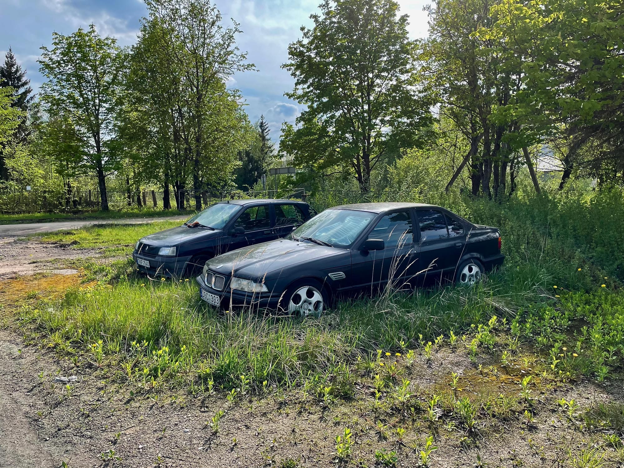 BMW ir Renault markės automobiliai pievoje